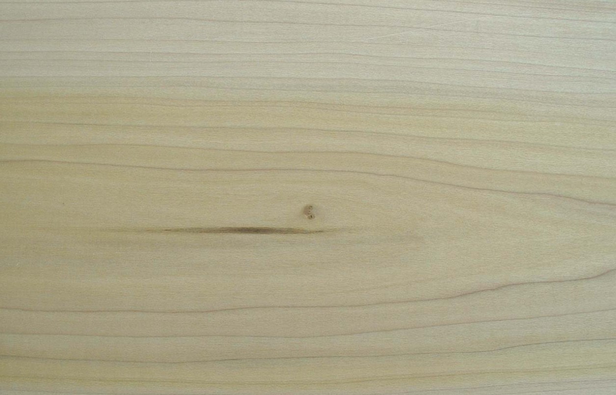 Yell Poplar